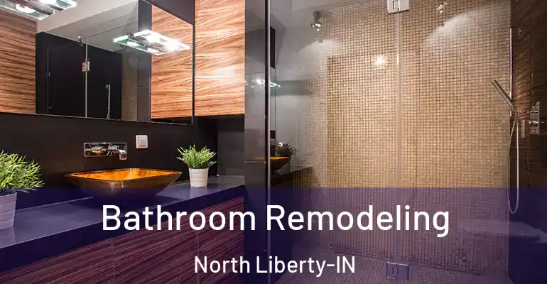 inner Bathroom imggen Bathroom Remodeling North Liberty-IN