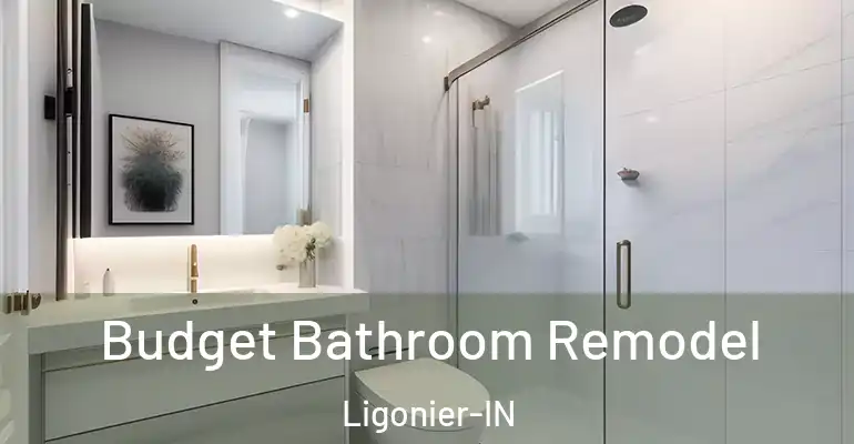 inner Bathroom imggen Budget Bathroom Remodel Ligonier-IN