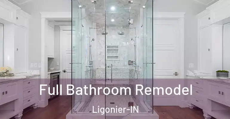 inner Bathroom imggen Full Bathroom Remodel Ligonier-IN