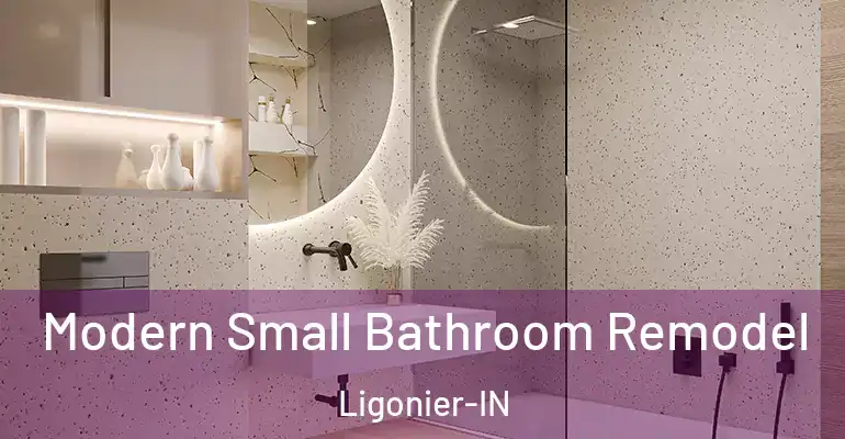 inner Bathroom imggen Modern Small Bathroom Remodel Ligonier-IN