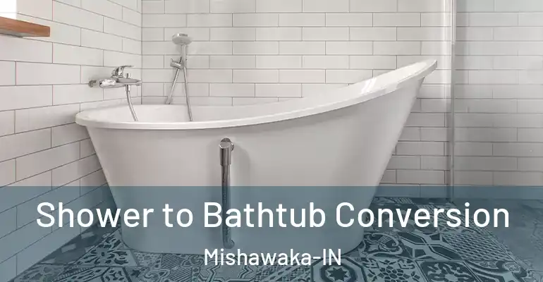 inner Bathroom imggen Shower to Bathtub Conversion Mishawaka-IN