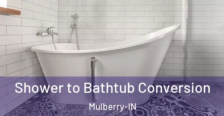 inner Bathroom imggen Shower to Bathtub Conversion Mulberry-IN