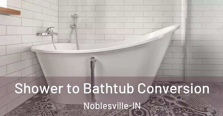 inner Bathroom imggen Shower to Bathtub Conversion Noblesville-IN