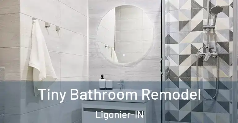inner Bathroom imggen Tiny Bathroom Remodel Ligonier-IN
