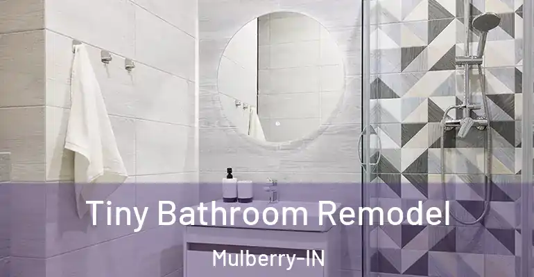 inner Bathroom imggen Tiny Bathroom Remodel Mulberry-IN