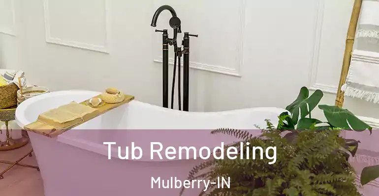 inner Bathroom imggen Tub Remodeling Mulberry-IN