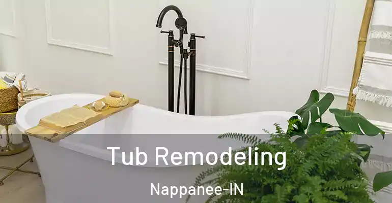 inner Bathroom imggen Tub Remodeling Nappanee-IN
