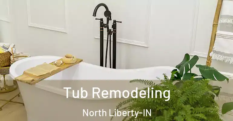 inner Bathroom imggen Tub Remodeling North Liberty-IN