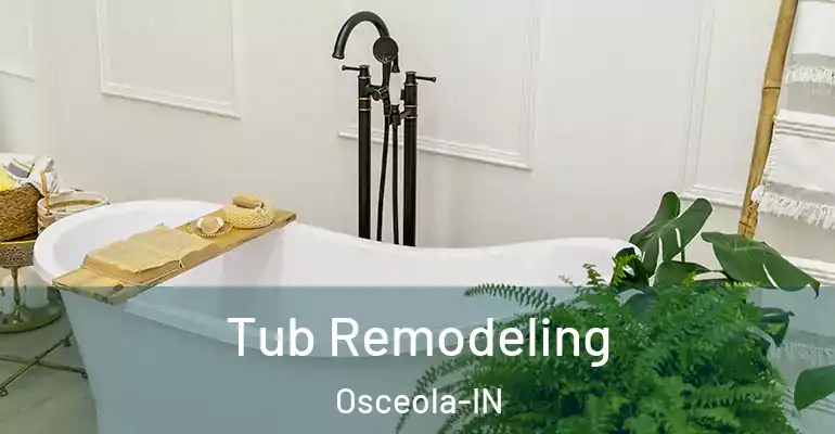 inner Bathroom imggen Tub Remodeling Osceola-IN