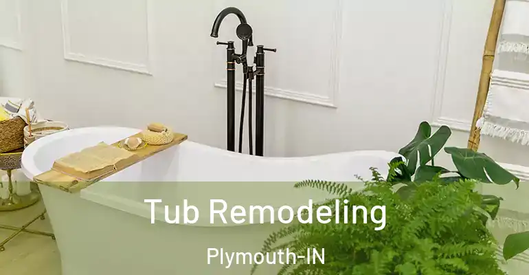 inner Bathroom imggen Tub Remodeling Plymouth-IN