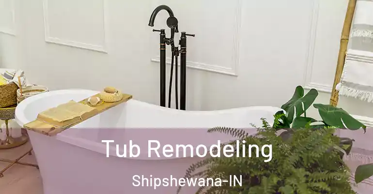 inner Bathroom imggen Tub Remodeling Shipshewana-IN