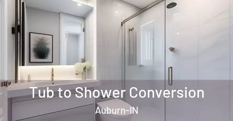 inner Bathroom imggen Tub to Shower Conversion Auburn-IN