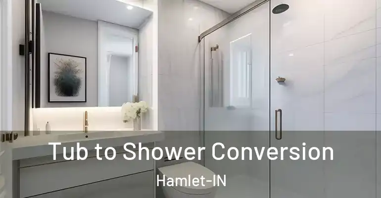 inner Bathroom imggen Tub to Shower Conversion Hamlet-IN