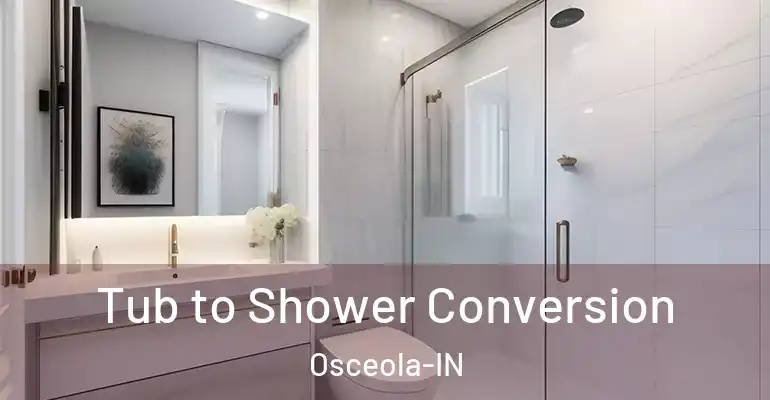 inner Bathroom imggen Tub to Shower Conversion Osceola-IN