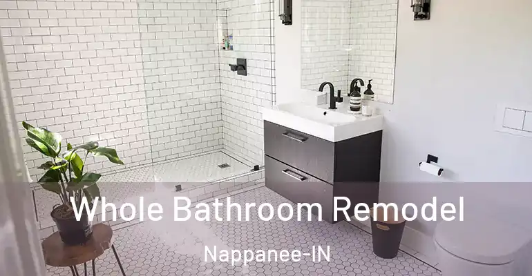 inner Bathroom imggen Whole Bathroom Remodel Nappanee-IN